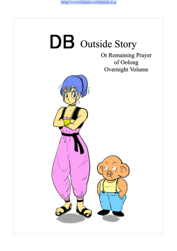 DB Outside Story