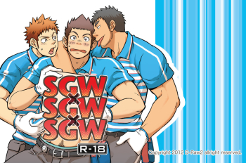 SGWÃ—SGWÃ—SGW