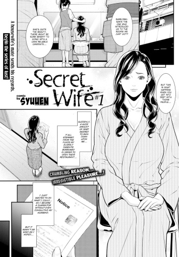 Secret Wife #1-3