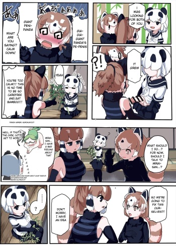 Panda Harem