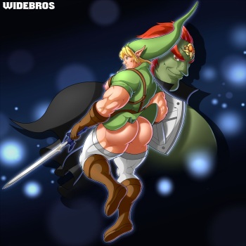 Link x Gandorf in The Silent Hero