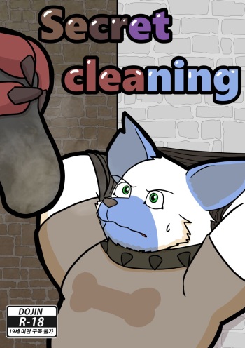 Secret Cleaning